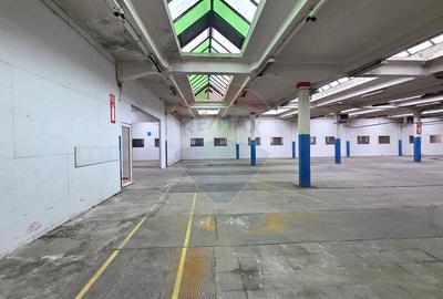 Inchiriere hale industriale lângă Brașov, Prejmer, Lunca Calnicului - 8