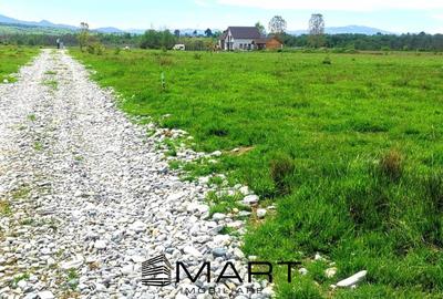Teren extravilan Valea Avrigului 8000mp zona Panoramic Park - 2