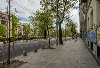 Kogalniceanu, Facultatea de Drept, Vedere Splai - 5