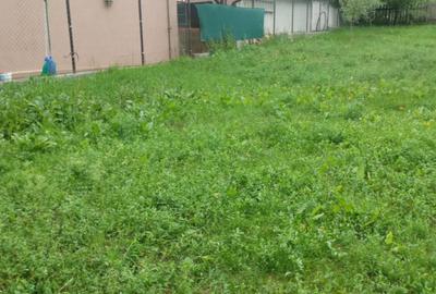 Casă individuală renovabilă | 2 camere | 1032 mp teren | La 13 km de Alba Iulia - 4