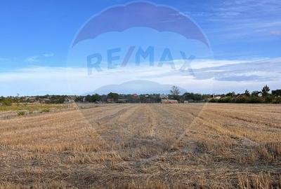 Teren intravilan de vanzare - 1