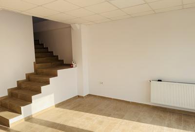 Hala industriala nouă, 386 mp, teren 900 mp, Domnești-Centura - 11