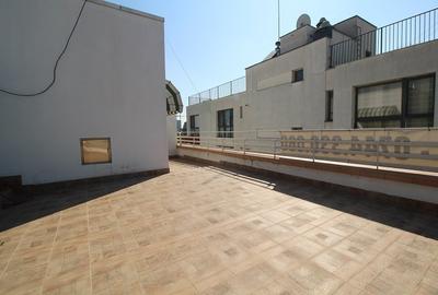 Vanzare apartament penthouse Gradina Icoanei - 3