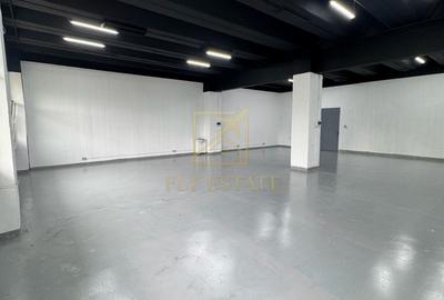 Spatiu Industrial | Pallady - 2