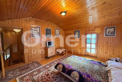 Casa cu piscina de vanzare, cu 6 ari de teren, Unguras - 14
