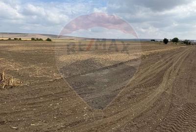 Teren Isalnita 400 - 1