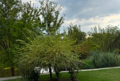 Apartament 3 cam cu vedere lac/La Gloire Parc du Lac - 10