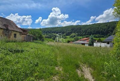 Teren de vanzare, 3400 Mp, Sighisoara - 1