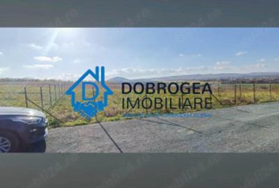 TEREN CASLITA CU PROIECT DE CASA LA SOL - 4