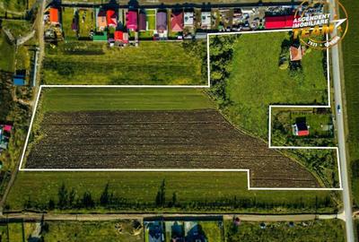 Proprietate remarcabila: 32.000mp teren, acces direct DJ112,Ilieni,Covasna - 2