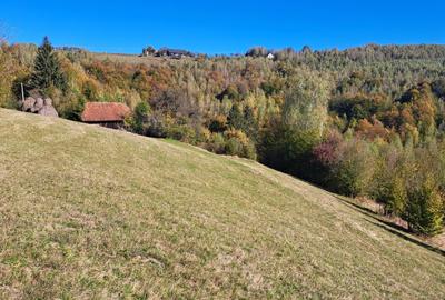 Teren extravilan in localitatea Bulz - 12