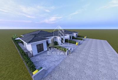 Duplex Mosnita Noua - 27