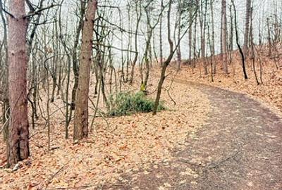 OPORTUNITATE - TEREN PENTRU PARC DISTRACTII!!! - 1