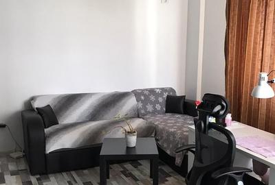 Apartament 2 Camere,Dristor,Park Lake,bl.1980,Amenajat,mobilat,utilat,complet - 6