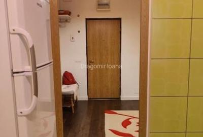 APARTAMENT DE INCHIRIAT MIHAI BRAVU/METROU - 9