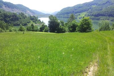 Teren unicat 73000 mp baraj Siriu - 1