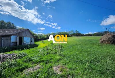 Teren Construcții intravilan de 2965 mp, în Periferie