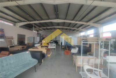 Spațiu industrial, de 800 mp, în Micălaca