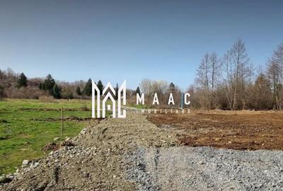TEREN INTRAVILAN 4007 MP I VALEA AVRIGULUI - 3