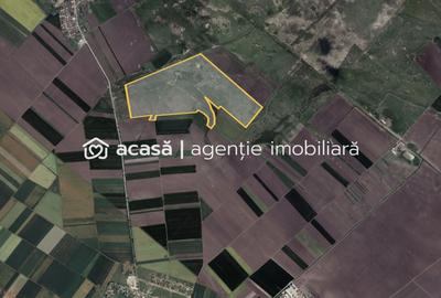 Teren 42 ha pentru parc fotovoltaic – Macea, Arad - 2