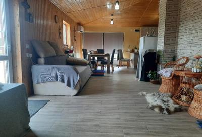 FARA COMISION casa 4 camere 2 bucatarii 2 puturi beci livada 1500mp SAU 3300mp - 31