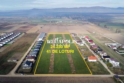 Teren  de vinzare HALCHIU  41 PARCELE - 23.230mp - 1