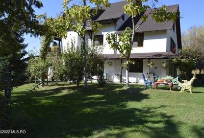 Topoloveni - Conacul Ion Mihalache, Domeniu pe 5 Hectare! - 13