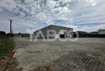 Hala industriala de inchiriat in Selimbar acces tir curte privata - 1