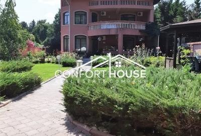 VILA D+P+E+M, 12 camere, piscina , padure, IANCU NICOLAE - 49