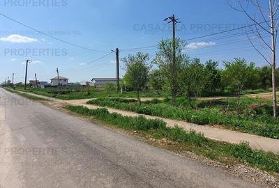 Teren extravilan 2.410 mp - Darza, Dambovita - 1