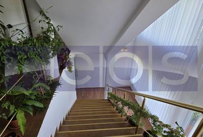 VANZARE CASA 7 CAMERE | PISCINA ACOPERITA | ZONA VATRA LUMINOASA - 19