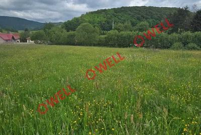 Teren extravilan de vânzare în Barcani, sat Sărămaș! - 4
