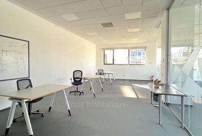 Spatiu versatil 220mp, parcul industrial Tetarom I - 7