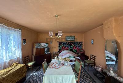 COMISION 0% - CASĂ PITOREASCĂ ÎN ACRIȘ - VAMA BUZĂULUI - 10