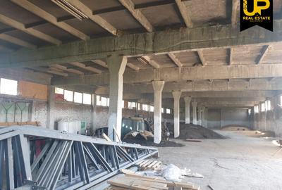 Buzau - Vernesti / Spatiu Industrial + Hale / Toate Utilitatile - 2