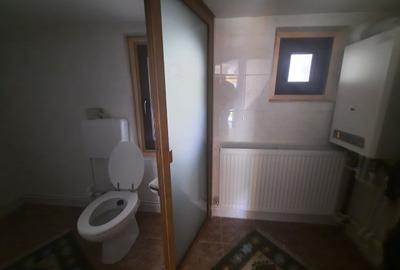 Casa de vanzare,340 mp,7 camere, Alexandru cel Bun Neamt (Bistrita), Cod 158919 - 12