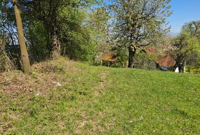 Teren Intravilan pentru Constructii Casa - 1