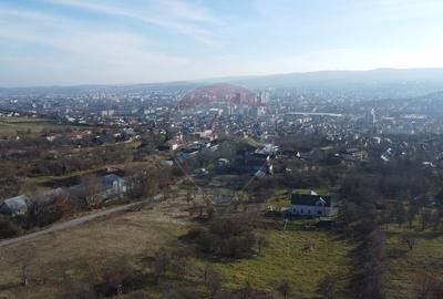 Teren 20.146 mp Dâmbu Rotund (Lomb).Extravilan.Potențial rezidențial - 18