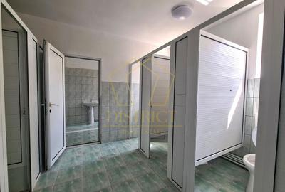 Clădire de birouri cu hala industriala si teren 1464mp | Mehala - 18