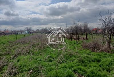 Vilă P+1 în Amara | 1.170 mp Teren | Toate utilitățile | Str. Băilor - 12