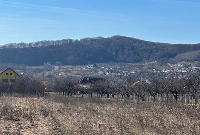 Vânzare – 2.581 mp, zonă liniștită, aproape de Curtea de Argeș - 2