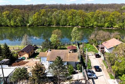 Vilă pe lac cu vedere la pădure - Pasărea - Brănesti - 1