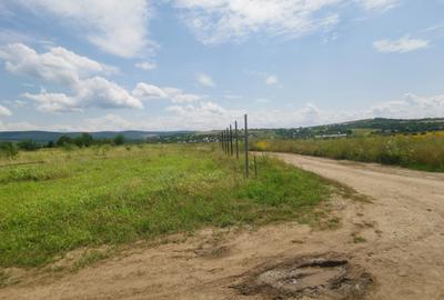 BUCIUM , 6 KM DIN IASI , DESCHIDERE DUBLA  , P+2,lac natural aproape - 10