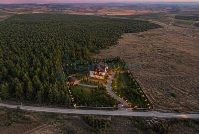 Teren langa padure de 3,5 ha cu proiect pentru pensiune la 15 minute de Oradea - 1