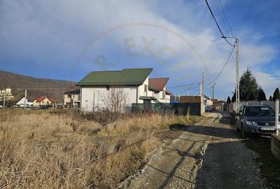 Teren 1.250 mp, toate utilitatile – Bascov, Valea Ursului, AG - 2