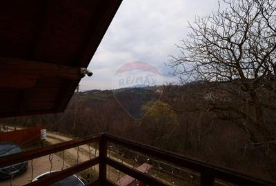 Casă de vânzare Bran Sohodol teren  intravilan 10.331 mp două locuințe - 24