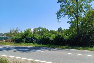 Resita, Teren Intravilan 5615 Mp., 25 Euro Mp., Calea Caransebesului, Memento - 13