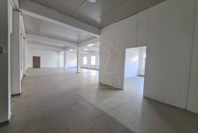 Clădire de birouri cu hala industriala si teren 1464mp | Mehala - 4