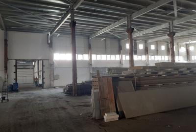 Hala renovata situata in zona Progresul - 11