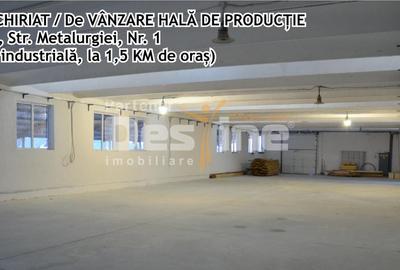 Hala productie, zona Industriala, Vaslui - 1